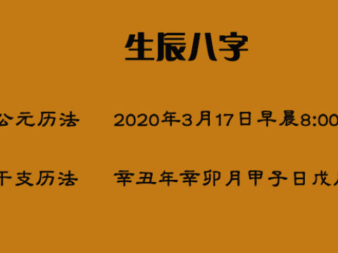 1984 年男命八字详批，解析一生运势与性格特点