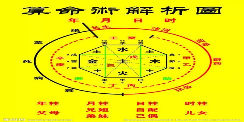 1984 年男命八字详批，解析一生运势与性格特点