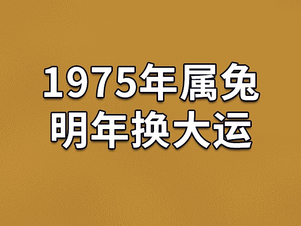 83 年猪 39 岁后十年大运运程：事业、财富、感情运势全解析